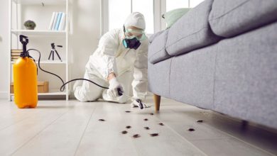 how-often-should-you-schedule-pest-control-services-for-your-home?